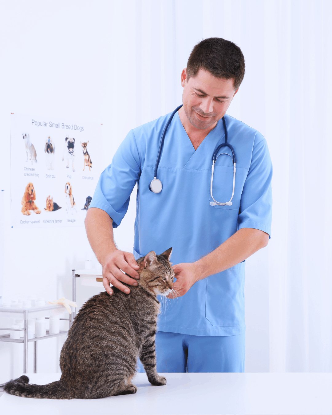 Vetinary Compounding Veterinary Compounding Solutions | Helios Laboratories